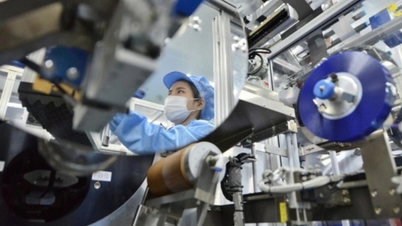 ៥ខែ ដើមទុន FDI ដែលទើបចុះបញ្ជីថ្មីបានកើនឡើងយ៉ាងខ្លាំង