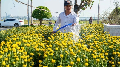 Can Tho ពិចារណាលើការលើកលែងថ្លៃជួលនៅផ្សារផ្កា Tet ឆ្នាំ 2025