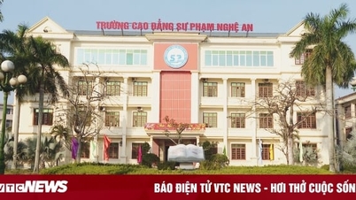 The Government decided to establish Nghe An University.