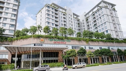 Lộc Trời Group (LTG) vừa giải thể một công ty con, vay nợ tăng 3.100 tỷ đồng