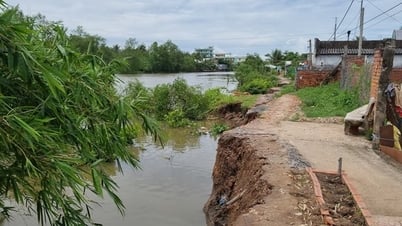 Vĩnh Long công bố tình huống khẩn cấp sạt lở bờ sông Cái Cao