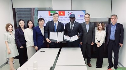 Quỹ đầu tư UAE hợp tác thúc đẩy cơ hội làm ăn tại Việt Nam