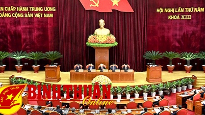 Không ngừng nâng cao chất lượng tổ chức cơ sở Đảng, đảng viên