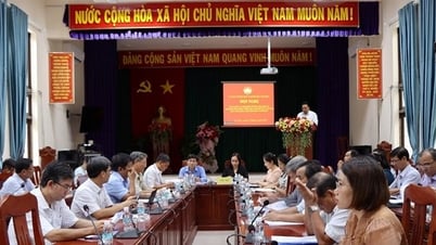ការរិះគន់សង្គមអំពីគម្រោងអភិវឌ្ឍន៍ទេសចរណ៍នៅស្រុក Tay Hoa ដល់ឆ្នាំ 2030 ជាមួយនឹងចក្ខុវិស័យដល់ឆ្នាំ 2045