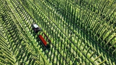Bia sẽ đổi vị theo... khí hậu?