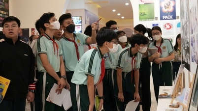 Chọn ngành đại học từ lớp 9