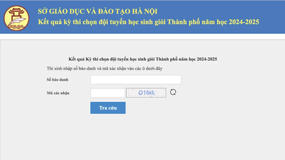 Công bố điểm thi chọn đội tuyển học sinh giỏi thành phố