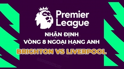 Comments, ហាងឆេង Brighton vs Liverpool, 20:00 October 8