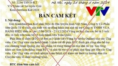 អ្នកក្លែងបន្លំទូរទស្សន៍វៀតណាម បង្ហាញមុខដើម្បីស្វែងរកអ្នកមានទេពកោសល្យវ័យក្មេង