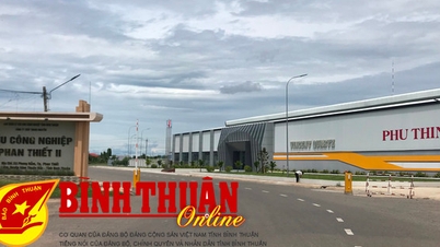 Continue to remove obstacles and create favorable conditions for industrial park development in Binh Thuan