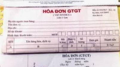 Ca Mau៖ ព្រះរាជអាជ្ញារងក្រុមហ៊ុន វៀតផាត់ ស៊ើបអង្កេតករណីគេចពន្ធ