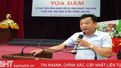 Ky Anh រួមបញ្ចូលកម្មវិធីអភិវឌ្ឍន៍កសិកម្មសរីរាង្គនៅក្នុងផែនការប្រចាំឆ្នាំ