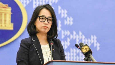 Vietnam responds to statement by Chinese Foreign Ministry Spokesperson regarding Xiangyang Hong 10 survey ship group