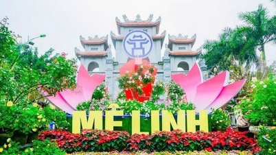 Hòa Minzy, Đức Phúc hội ngộ tại khai mạc lễ hội hoa Mê Linh cuối tháng này