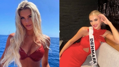 The enchanting beauty of the new Miss Universe 2024 is like a doll from a fairy tale.
