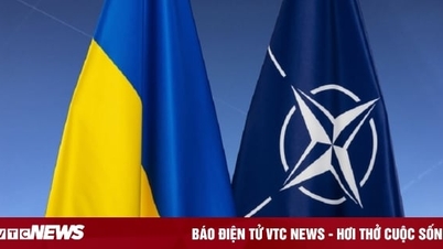 Tiết lộ bức thư Ukraine thúc giục NATO kết nạp thành viên