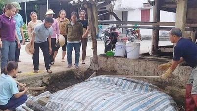 Nông dân kiếm thêm tiền lại bảo vệ môi trường từ những thứ bỏ đi trên ruộng