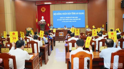 Entlassung des Vorsitzenden und des stellvertretenden Vorsitzenden der Provinz An Giang