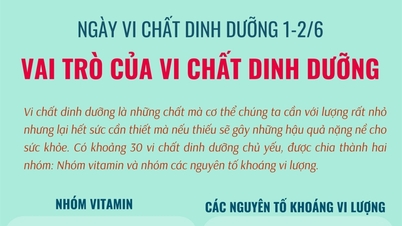 តួនាទីរបស់មីក្រូសារជាតិ