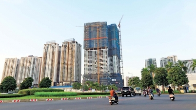 Real estate investors save themselves with various stimulus measures