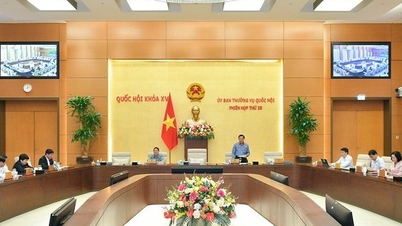 Ưu tiên giám sát sớm về bảo đảm trật tự, an toàn giao thông đường bộ