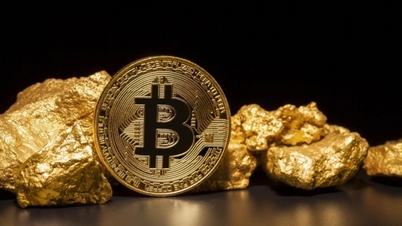 សហរដ្ឋអាមេរិក "ភ្លើងខៀវ" bitcoin កើនឡើងគួរឱ្យទាក់ទាញ អ្នកជំនាញណែនាំអ្នកវិនិយោគ "ចាំបាច់ត្រូវប្រុងប្រយ័ត្ន"