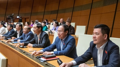 Hai Phong City will not organize People's Councils of districts and wards from July 1, 2026.
