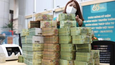Công ty Thái Sơn - Long An hoàn tất thanh toán 668 tỉ đồng lãi trái phiếu