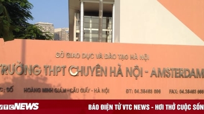 Bộ GD&ĐT yêu cầu trường THPT chuyên Amsterdam dừng tuyển sinh lớp 6