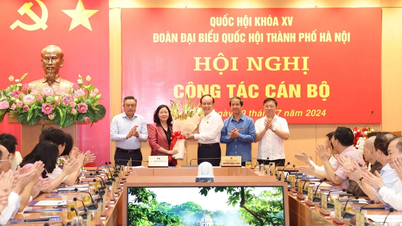 សមមិត្ត Bui Thi Minh Hoai ជាប្រធានគណៈប្រតិភូរដ្ឋសភាទីក្រុងហាណូយ។