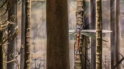 Côn trùng lớn nhất từng tồn tại trên Trái Đất