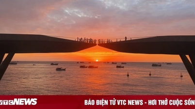 Thế giới đã 'đáp lời' Cầu Hôn