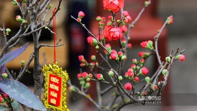 ឆ្ងាយពីផ្ទះសម្រាប់មនុស្សចាស់ដែលធ្វើការនៅទីក្រុង