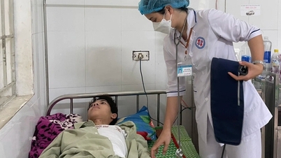 Quảng Ngãi chỉ đạo làm rõ vụ 6 người nhập viện sau ăn bánh mì