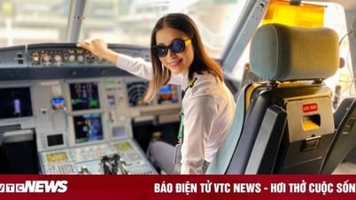 Ngành nghề nào có mức lương trăm triệu đồng/tháng, dễ xin việc làm?
