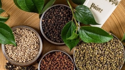 Pepper price increase, great opportunity for export businesses