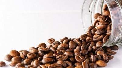 តម្លៃកាហ្វេ Robusta ធ្លាក់ចុះយ៉ាងខ្លាំង កសិករប្រេស៊ីលមិនប្រញាប់លក់ទេ ទិន្នផលរបស់ឥណ្ឌូនេស៊ីមានកម្រិតទាបរយៈពេល 10 ឆ្នាំ