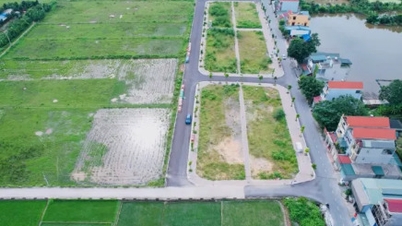 ទីក្រុងហាណូយលុបចោលលទ្ធផលនៃការដេញថ្លៃដីមួយកន្លែងនៅស្រុក Thanh Oai