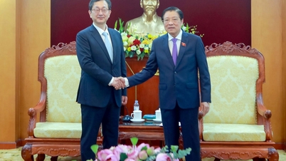 វៀតណាម-កូរ៉េជំរុញកិច្ចសហប្រតិបត្តិការក្នុងការប្រឆាំងអំពើពុករលួយ