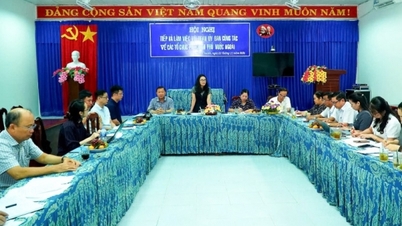 Giong Rieng (Kien Giang)៖ គម្រោងកាត់បន្ថយផលប៉ះពាល់នៃការប្រែប្រួលអាកាសធាតុនាំមកនូវសារៈសំខាន់ជាក់ស្តែង