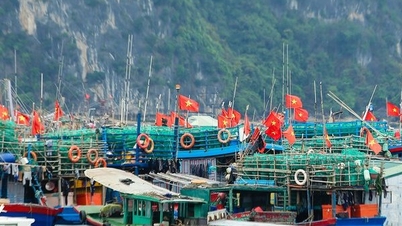បានកំណត់យក IUU "កាតលឿង" នៅអធិការកិច្ចលើកទី 4 ដោយ EC