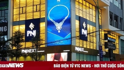 PNJ lãi kỷ lục gần 2.000 tỷ đồng