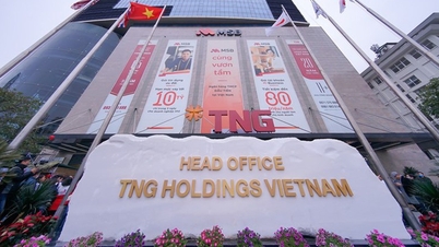 TNR Holdings និង 'ក្រុមហ៊ុនយក្ស' ផ្សេងទៀតបន្តពង្រីកបំណុលសញ្ញាប័ណ្ណ