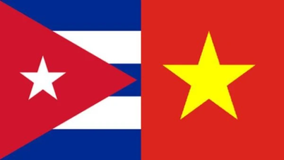 Making parliamentary cooperation between Vietnam and Cuba effective and substantive