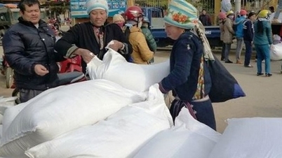 Xuất cấp gạo cho 6 địa phương hỗ trợ nhân dân thời gian giáp hạt năm 2023