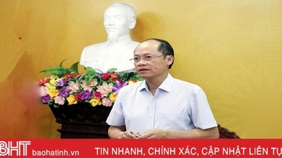 Tiếp tục giám sát việc triển khai các quy định về chống khai thác thủy sản bất hợp pháp