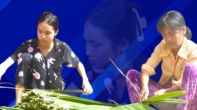 និស្សិត​ស្រី​នៅ​ផ្ទះ​ស្ងាត់៖ ចង់​បង្កើត​សំណាង​ឲ្យ​ខ្លួន​ឯង​ផ្លាស់​ប្ដូរ​ជីវិត