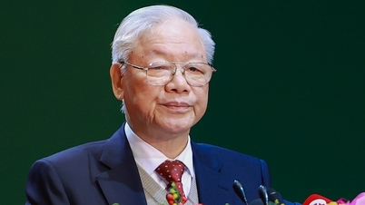 دبیرکل: مناطق روستایی باید به حومه‌های قابل سکونت تبدیل شوند