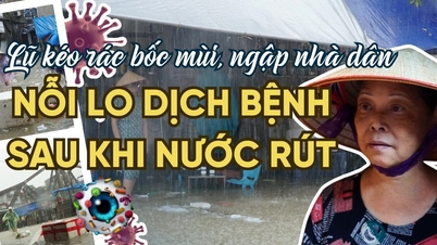 Lũ kéo xác thối, rác thải bủa vây: Người Hà Nội lo dịch bệnh khi nước rút