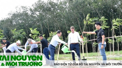 Lan tỏa cảm hứng đầu tư xanh và phát triển bền vững